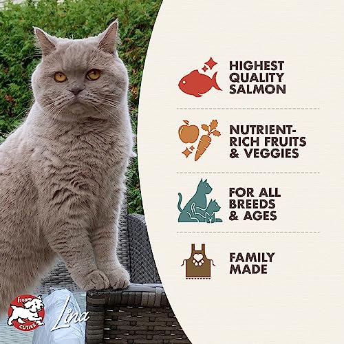  Fromm Four-Star Nutritionals Salmon A La Veg Cat Food - Premium Dry Cat Food - Salmon Recipe - 4 Lb