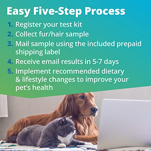  5Strands Pet Raw Food Intolerance & Environmental Sensitivity Test, At Home Test For Dogs & Cats, Hair Sample Collection Kit, All Ages And Breed, Results In 7 Days