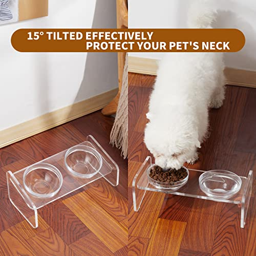  Dog And Cat Bowls Elevated Set,15°Tilted Acrylic Clear Pet Feeder Stand With 2 Glass Bowls And 2 Stainless Steel Bowls Raised Food Water Bowls Holder Perfect For Small Pets