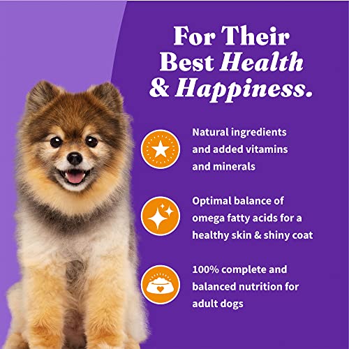  Halo Holistic Dog Food, Complete Digestive Health Cage-Free Chicken And Brown Rice Recipe, Dry Dog Food Bag, Small Breed Formula, 3.5-lb Bag
