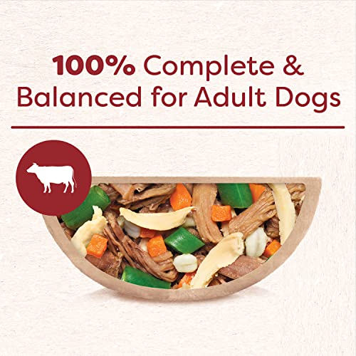  Cesar Wholesome Bowls Adult Soft Wet Dog Food Beef, Chicken, Carrots, Barley & Green Beans Recipe, (10) 3 Oz. Bowls