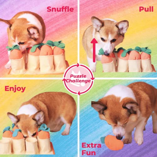  FOSSA Dog Snuffle Mat, Puppy Toys Feeding Mat With 8 Carrots Plush Dog Treat Puzzle Toys (Small)