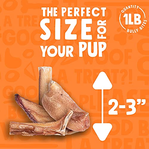  JollyBarks Bully Bites Dog Treats (1lb) Premium Natural Single Ingredient Odor Free Bully Sticks For Small Dogs - Grass Fed, Non-GMO Long Lasting Bully Sticks For Puppies, Small Bully Sticks (1lb Bag)
