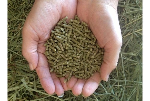  Small Pet Select Guinea Pig Food Pellets, 10 Lb.