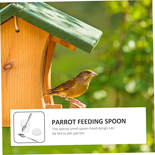  Feeding Tube 5 Sets Parrot Feeding Spoon Bird Food Cockatiel Dog Food Feeder Food Spoon Cockatiel Feeder Ink Bird Feeding For Birds Parrot Feeding Spoon Bird Feeding Kit Pet Hose