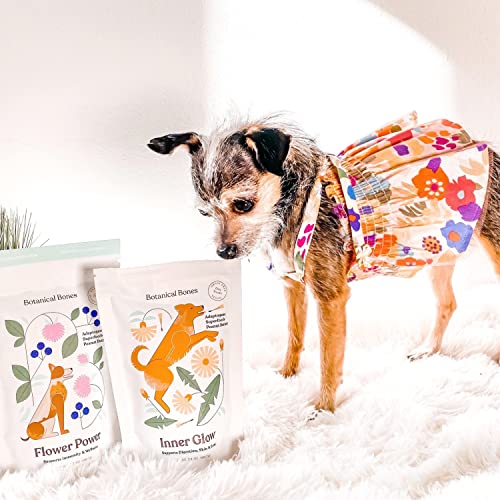  BOTANICAL BONES | Inner Glow Superfood Dog Treats | Plant-Based Limited Ingredient Crunchy Peanut Butter Cookies | Sustainable Natural Clean Label | Made In USA (3.5oz)