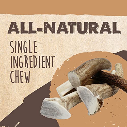  Mighty Paw Elk Antlers For Dogs | Medium Size 6" Premium Deer Antlers For Dogs, Pets And Puppies. Long Lasting Deer Antler Dog Chew For Aggressive Chewers. Dog Antler Chews For Large And XL Dog (2pk)