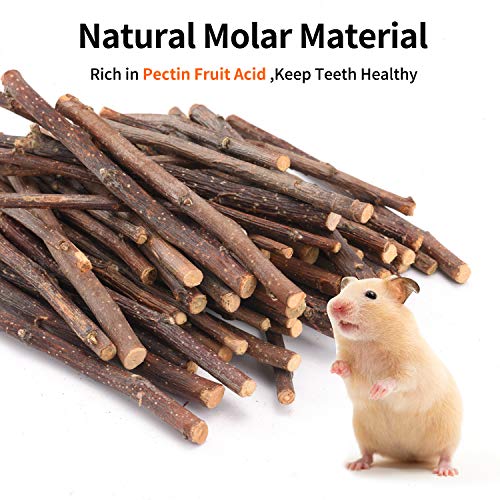  CHUHUAYUAN Natural Apple Sticks, 500g Treats Food For Small Animals, Chew Toys For Chinchilla Guinea Pigs Rabbit Squirrel Hamster Bunny
