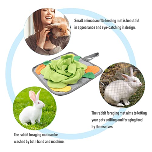  Ipetboom Teething Toy 2pcs Slow For Skills Animal Intelligence Eating Bunny Toys Dispenser Pig Cat Hunting Foraging Natural Ferret Enrichment Dog And Training Work Iq Rabbit Small Rug Toy
