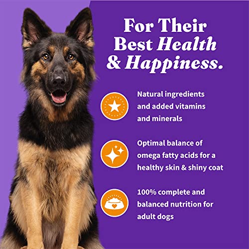  Halo® Holistic Adult Dog Grain Free Cage-Free Chicken & Sweet Potato Recipe 3.5 Lb Bag