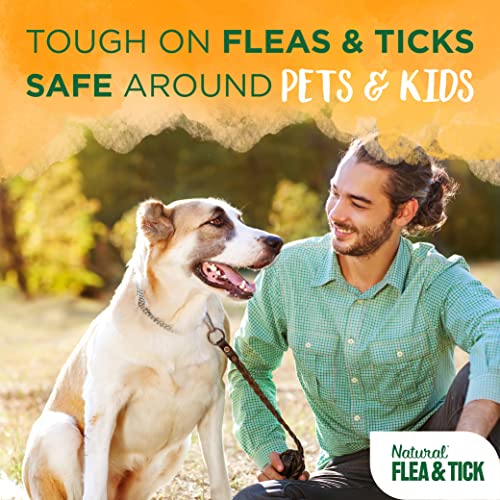  TropiClean Maximum Strength Natural Flea And Tick Dog Shampoo, Natural Flea And Tick Prevention For Dogs, Made In The USA, 20oz