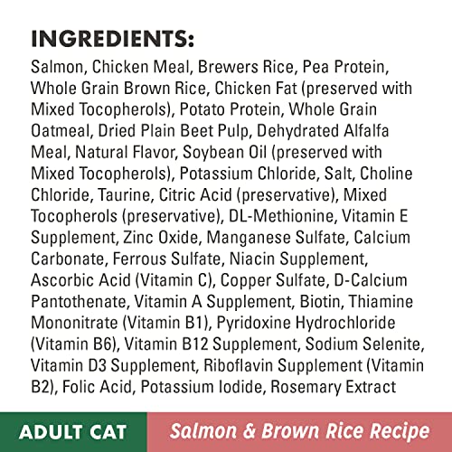  NUTRO WHOLESOME ESSENTIALS Adult Natural Dry Cat Food Salmon & Brown Rice Recipe, 14 Lb. Bag