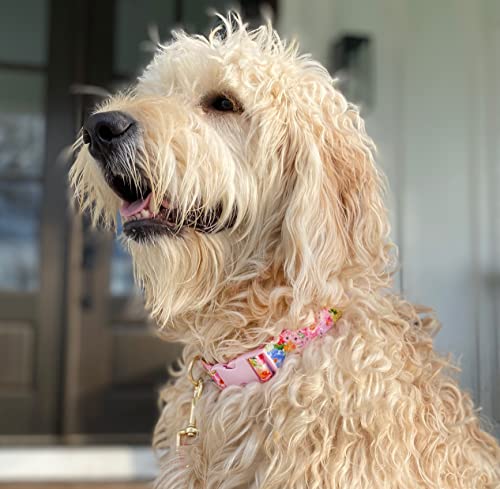  Steel Mill & Co Adjustable Dog Collar With Quick Release Buckle, Heavy Duty Canvas, Cute Floral Dog Collars For Medium And Large Dogs, Summer Garden