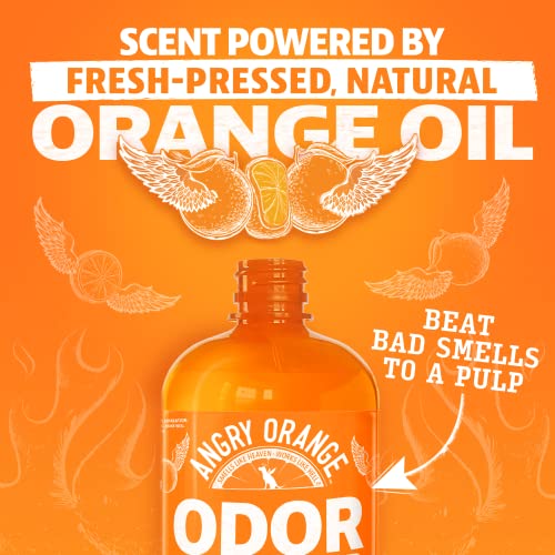 Angry Orange Pet Odor Eliminator For Home - 8oz Dog And Cat Pee Smell Remover For Carpet, Grass, Tile And Furniture - Citrus Concentrate, Makes 128oz Of Liquid