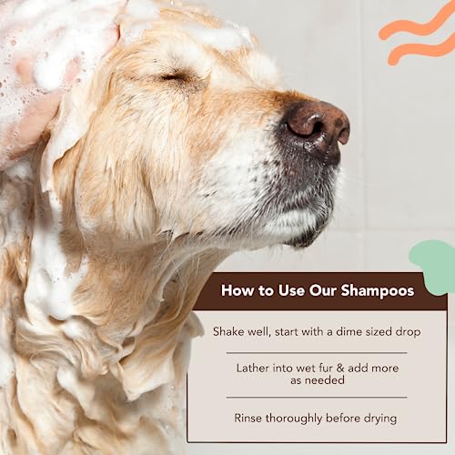  Natural [Dog] Company Oatmeal Sensitive Skin Shampoo, 12 Oz., Dandruff Shampoo, Hypoallergenic, Plant Based Ingredients, Bathing Supplies, Itchy [Skin] Relief For [Dog]s