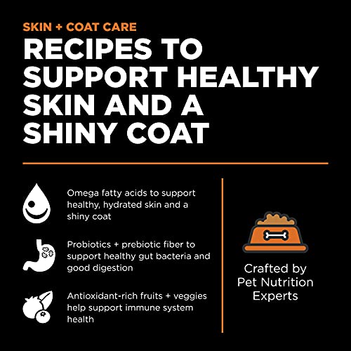  GO! SOLUTIONS Skin + Coat Care - Dry Dog Food, 25 Lb - Salmon Recipe With Grains For All Life Stages - Complete + Balanced Nutrition For Dogs