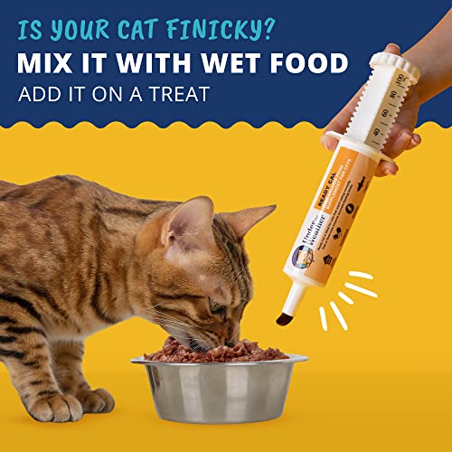  Under The Weather Pet | Ready Cal For Cats 100cc | High Calorie Supplement | Cat Weight Gainer And High Calorie Booster | 10 Vitamins, 7 Minerals & Omega Fatty Acids (for Cats 100cc)