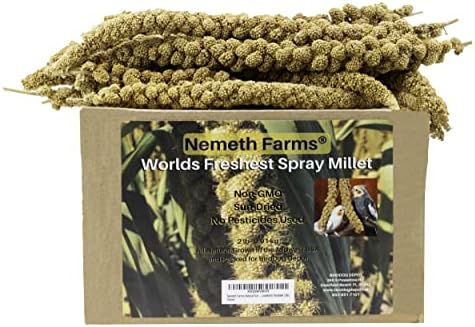 Nemeth Farms Worlds Freshest GMO-Free No Pesticide Sun Dried Spray Millet No Stems Only Edible Tops-Original Bird Treat And Supplement For Pet Birds Parakeets, Cockatiels, Lovebirds And Finches-5lbs