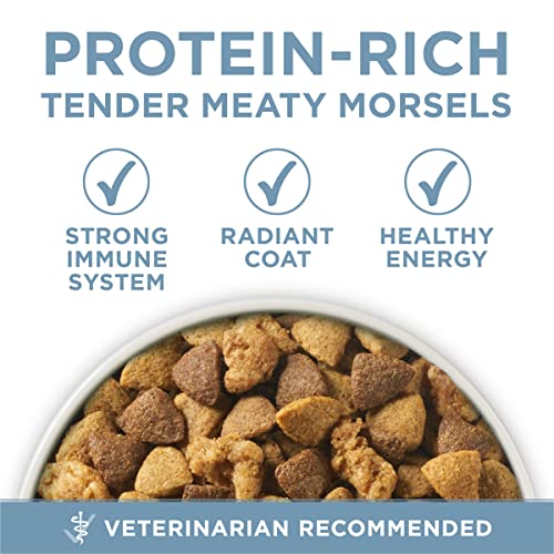  Purina ONE Plus Joint Health Formula Natural With Added Vitamins, Minerals And Nutrients Dry Dog Food - 31.1 Lb. Bag