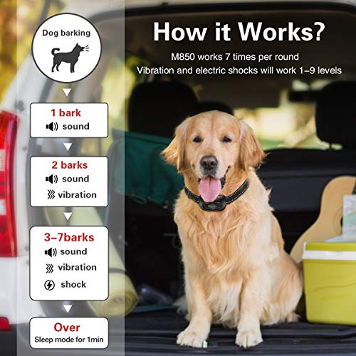  CLEEB-BOUG Dog Bark Collar, No Bark Training Rechargeable Anti Barking Collar With 9 Adjustable Sensitivity And Intensity Beep Shock Vibration For Small Medium Large Dogs (Black)
