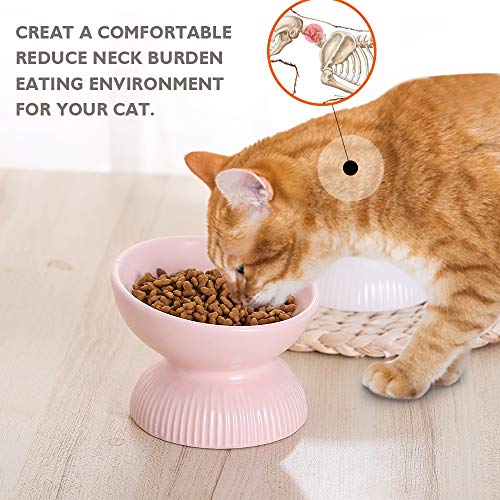  Raised Cat Food Bowls Ceramic - Tilted Elevated Cat Bowls Anti Vomiting - 4.9 In Small Cat Bowl For Dry Wet Food - Stress Free Shallow Cat Feeding Bowls For Whisker Fatigue - Dishwasher Safe - 4oz