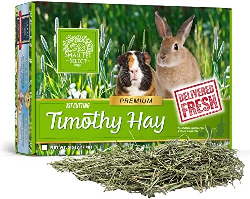  Small Pet Select 1st Cut Timothy Hay Pet Food For Rabbits, Guinea Pigs, And Other Small Animals, Easy To Store Box, 20 LB