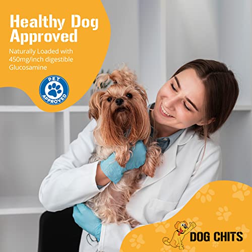 Dog Chits Bison Lung Fillets Dog And Puppy Treats - All Natural Grain And Chemical Free Training Chews - High Protein And Low Fat - Supports Dental Health - Made In The USA - Large 10 Oz Bag