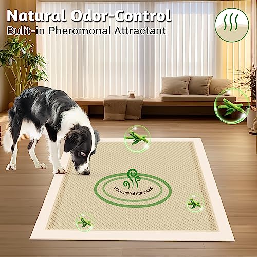  MIZOK Bamboo Dog Pads Odor Eliminating 30x36in XXL Dog Training Pads, 10 Cups Super Absorbent Leak-Proof Dog Pee Pads With Adhesive Tabs, Disposable Beige Color (30 Counts)