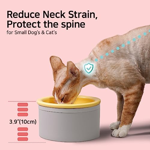  BOWLBOWL Elevated Cat Dog Bowls For Small Dogs, 6.5" Wide Raised Cat Food Bowls Whisker Friendly, Anti Vomiting Cat Bowls For Indoor Cats, No Spill Dog Bowl, Made In Korea! (3.9", Round, Pink)