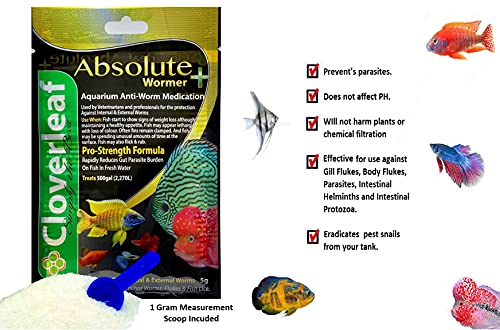  Plymouth Discus Product WORMER Plus - Freshwater And Saltwater Fish Powder Medication. With Parasites And Flukes. (5G - Treats 600 GALLONS)