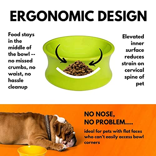  Raised Ceramic Pet Bowl The Kurve One For Pets, Clementine, Small