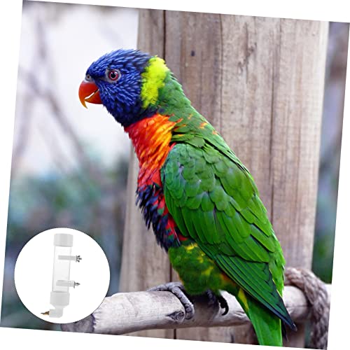  3 Pcs Parrot Drinking Fountain Hamster Supplies Rabbit Water Bowl Bunny Feeder Household Pet Water Bottle Water Feeding Bowl Water Bottle For Dogs Bird Water Dispenser Bird Waterer