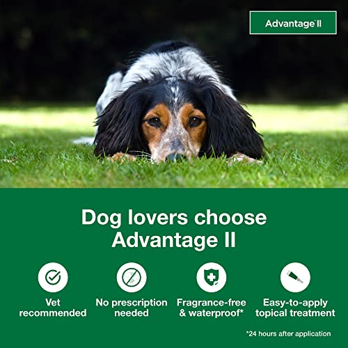  Advantage II Medium Dog Vet-Recommended Flea Treatment & Prevention | Dogs 11-20 Lbs. | 4-Month Supply