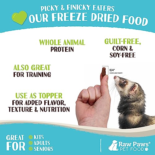  Raw Paws Freeze Dried Raw Ferret Food, Beef 16-oz - Made In USA - Premium, Grain Free Ferret Diet For Small, Adult, Senior & Baby Ferrets - Also Use As Natural Ferret Treats For Rewarding & Training