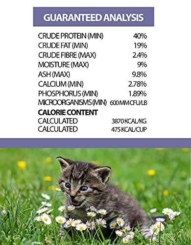  Horizon Legacy Cat & Kitten - 6.6 Lb