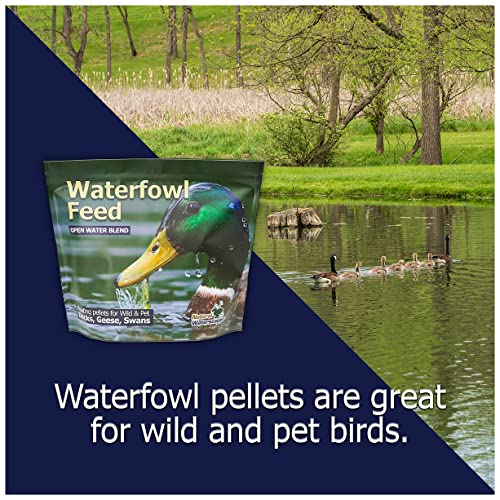  Natural Waterscapes Waterfowl Feed | Floating Pellets For Duck, Swan, Goose | 5 Lb Resealable Bag | Use For Wild Duck, Pet Duck
