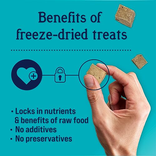  Stewart Freeze Dried Dog Treats, Beef Liver, Grain Free & Gluten Free, 21 Ounce Resealable Tub, Single Ingredient, Dog Training Treats