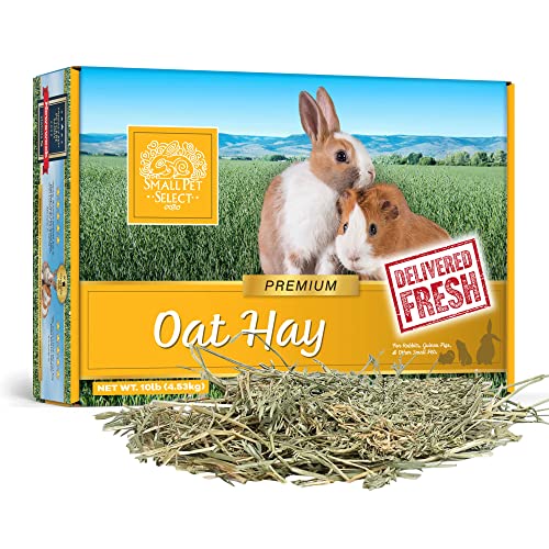  Small Pet Select Oat Hay Pet Food, 10 Lb.