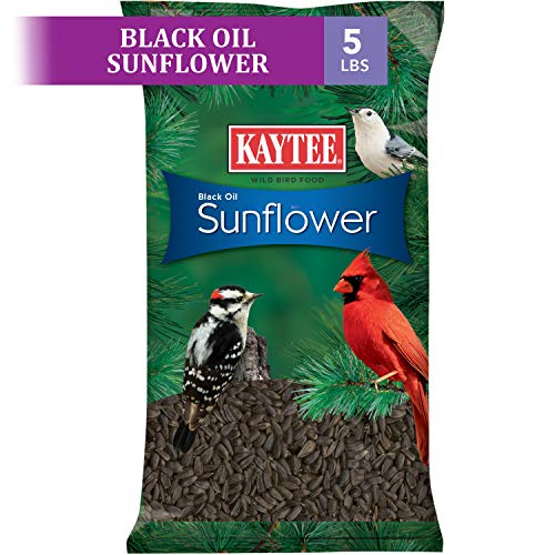  Kaytee Wild Bird Black Oil Sunflower Food, 5 Pounds