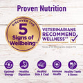 Wellness Complete Health Large Breed Dry Dog Puppy Food With Grains, Natural Ingredients, Made In USA With Real Meat (Puppy, Chicken, Salmon & Rice, 30-Pound Bag)