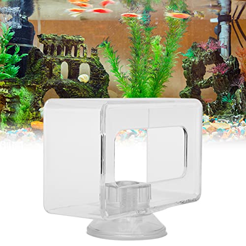  ESAAH Fish Food Feeding Ring Fish Safe Floating Food Feeder Square Transparent With Cup For Aquarium Fish Tank (Size : S 6x10x4cm)