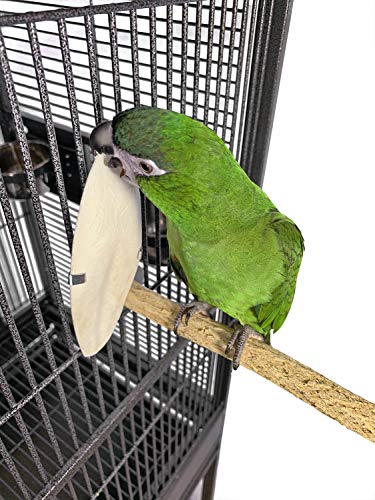  Birds LOVE Natural Cuttlebone – Premium Calcium & Trace Mineral Supplement For Avian Species, Tortoises, And Snails – Pure Cuttlebone For Parakeets, Cockatiels, And All Birds | 12 Pack Of 5 .5-6"