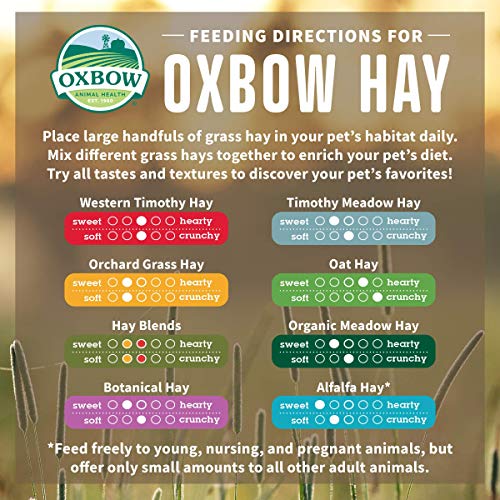  Oxbow Animal Health Meadow Hay - All Natural Hay For Rabbits, Guinea Pigs, Chinchillas, Hamsters & Gerbils - 40 Oz.