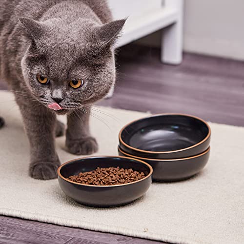 LETITBE Ceramic Cat Bowls Set, 5.3 Inch Cat Food Bowls, Cat Dishes For Indoor Cat, Pet Kitten Food Bowl, Cat Food Dish Small Animal Pet Bowls, Matte Black