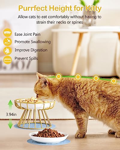  Dorakitten 2Pcs Cat Bowl, Ceramic Raised Cat Food Bowl, Elevated Pet Bowl,Anti Vomiting Cat Feeding Bowl, Non Slip Cat Dish, Protect Pet's Spine Make Cats Feel Comfortable, Dishwasher Safe1