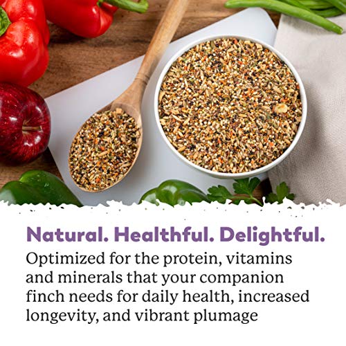  Dr. Harvey’s Fabulous Finch Food For Outside Feeder And Indoor Birds- Premium Bird Feed With Seeds, Nuts, Fruits, Vegetables For Finches (4 Pounds)