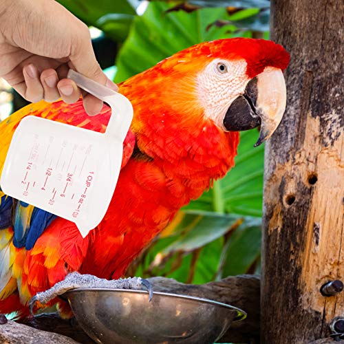  Clear Kettle 6 Pcs For Cups Milk Free Spout Food Feeder Bpa And Scale Pet Grip Handle Kitchen Cats Cooking With Jug Dogs Use Tool Bird Feeding Home Scoop Baking Measuring Plastic