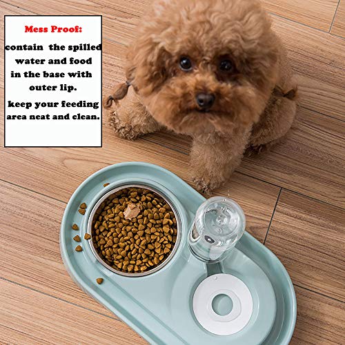  Double Dog Cat Bowls, Raised Pets Water And Food Bowl Set With Automatic Water Dispenser Bottle Detachable Stainless Steel Bowl No-Spill Pet Feeder For Small Medium Dogs And Cats Puppy Kitten Rabbit