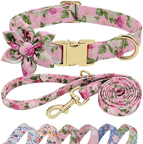  Beirui Cute Girl Dog Collar And Leash Set For Female Dogs- Floral Dog Collar With Flower For Small Medium Large Dogs Puppy, M:Neck 13-21", Leash 5FT, Purple-1