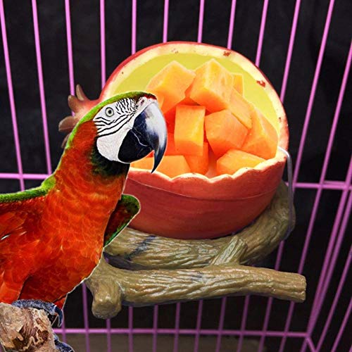  GVRPV Cat BowlCat BowlFruit Shape Bowl Bird Feeder Drinker Water Food Dispenser Container Pet Supplies Bird Feeder Pet Accessories-2